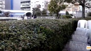 实践性伦理原则🍆国产成人精品一区二免费网站🍆精品国产三级a∨在线观看欧美